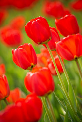 Similar image 8143466