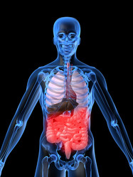 Similar image 8143509