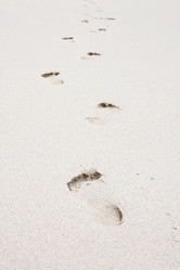 Similar image 8143522