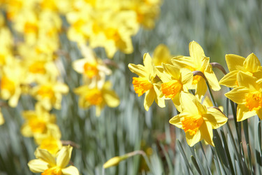 Similar image 8143579