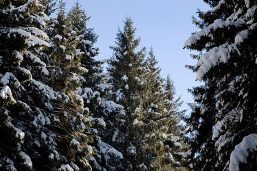 Similar image 8143583