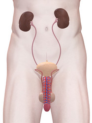 Similar image 8143650