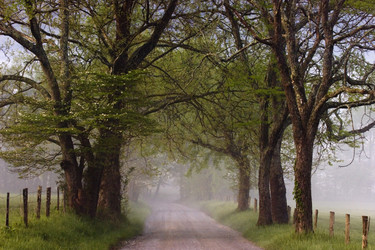 Similar image 8144297