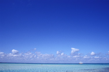 Similar image 8144298