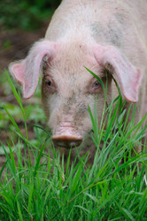 Similar image 8144300