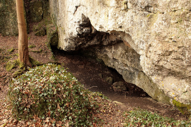 Similar image 8144303