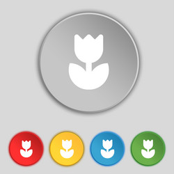 Similar image 8146427