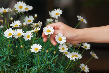 Similar image 8147100