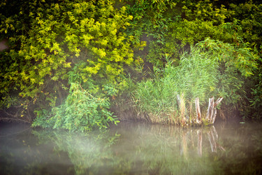 Similar image 8147122