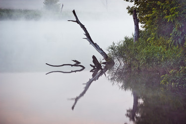 Similar image 8147154