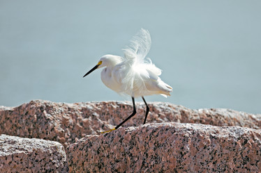 Similar image 8147195