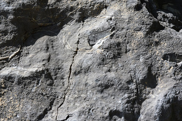 Similar image 8147222