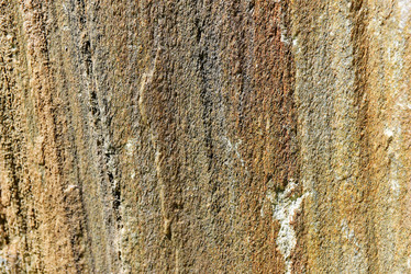 Similar image 8147321