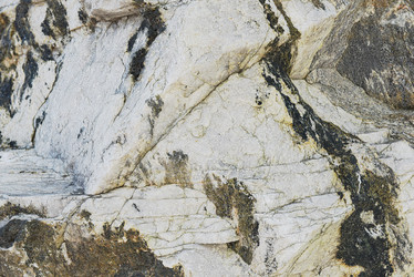 Similar image 8147323