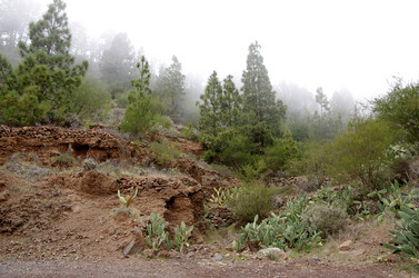 Similar image 8147354