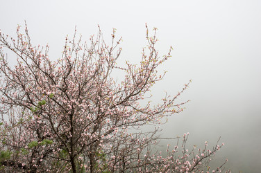 Similar image 8147355