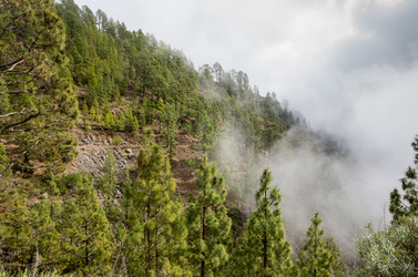 Similar image 8147356