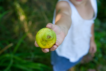 Similar image 8147381