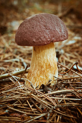 Similar image 8147401