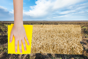 Similar image 8147452