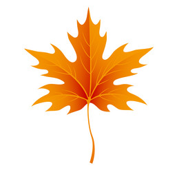 Similar image 8151772