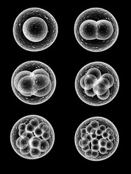 Similar image 8153241