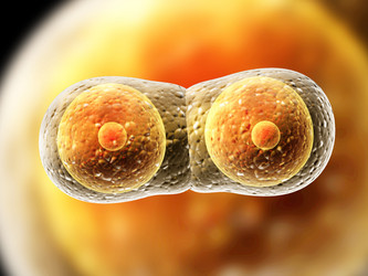 Similar image 8153244