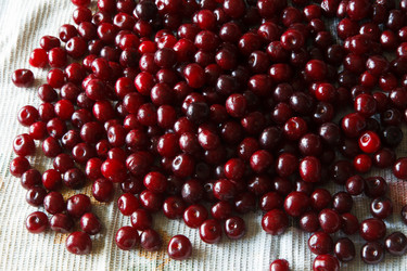 Similar image 8157811