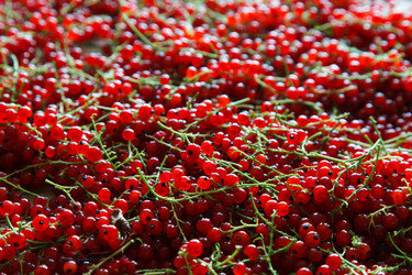 Similar image 8157812