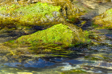 Similar image 8157819