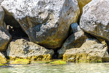 Similar image 8157820