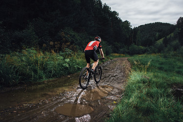 Similar image 8157862