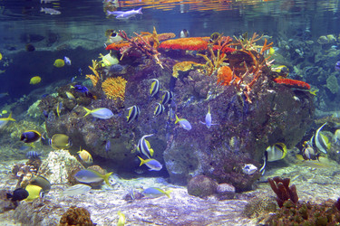 Similar image 8157984