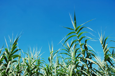 Similar image 8157985