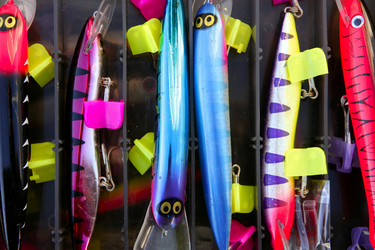 Similar image 8158002