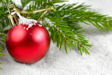 Similar image 8158015