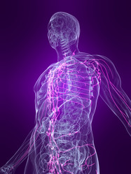 Similar image 8158026