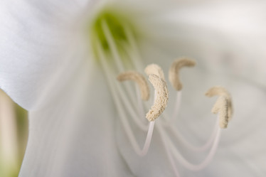 Similar image 8158033