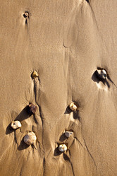 Similar image 8158056