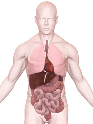 Similar image 8158070