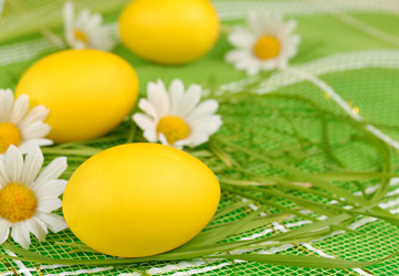 Similar image 8163588