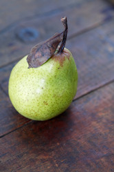 Similar image 8163616