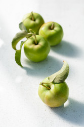 Similar image 8163636