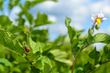 Similar image 8163650