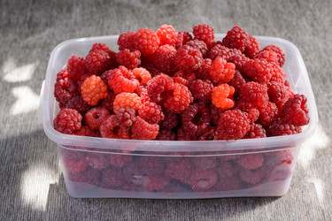 Similar image 8163657