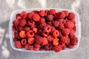 Similar image 8163658