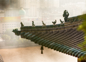 Similar image 8163728