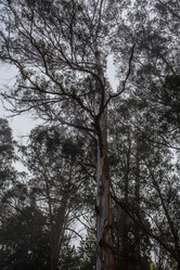 Similar image 8163731