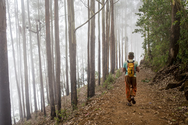 Similar image 8163734