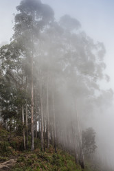 Similar image 8163736